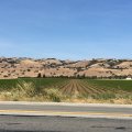 2014-05-24 15.36.55