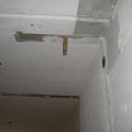 IMG_0803
